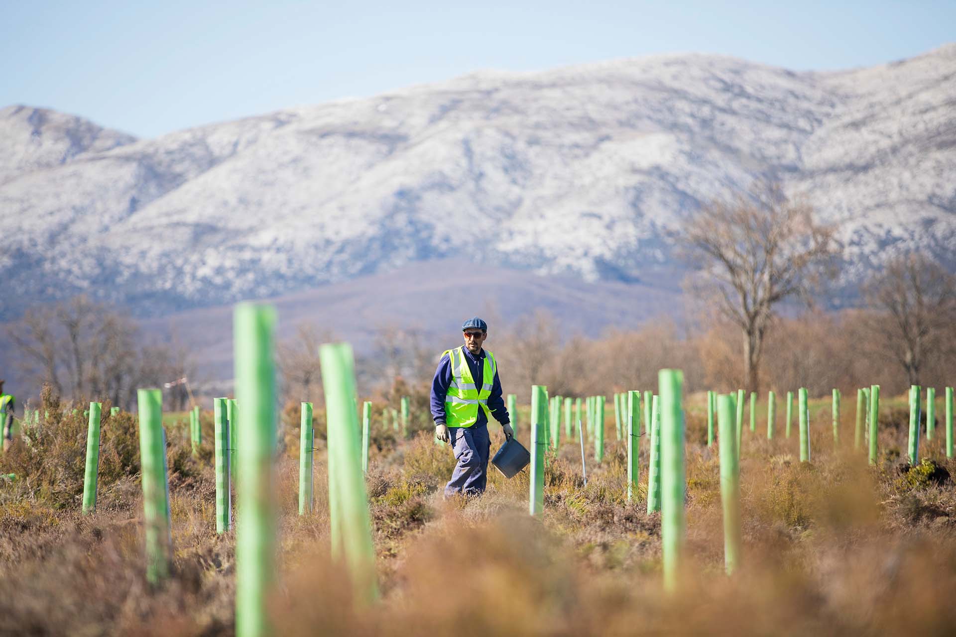 Man in field collecting data